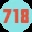 TRACK718 标志
